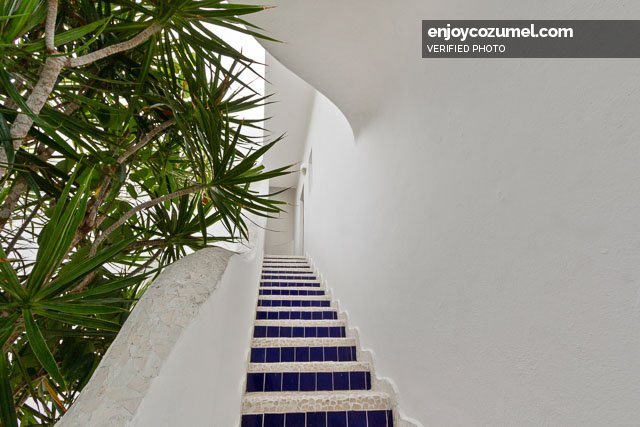 Cozumel_Villa/House_Villa Ranas Sur_14487